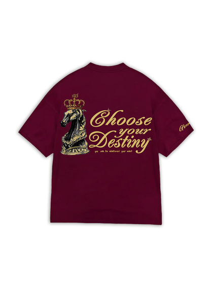 CHOOSE YOUR DESTINY