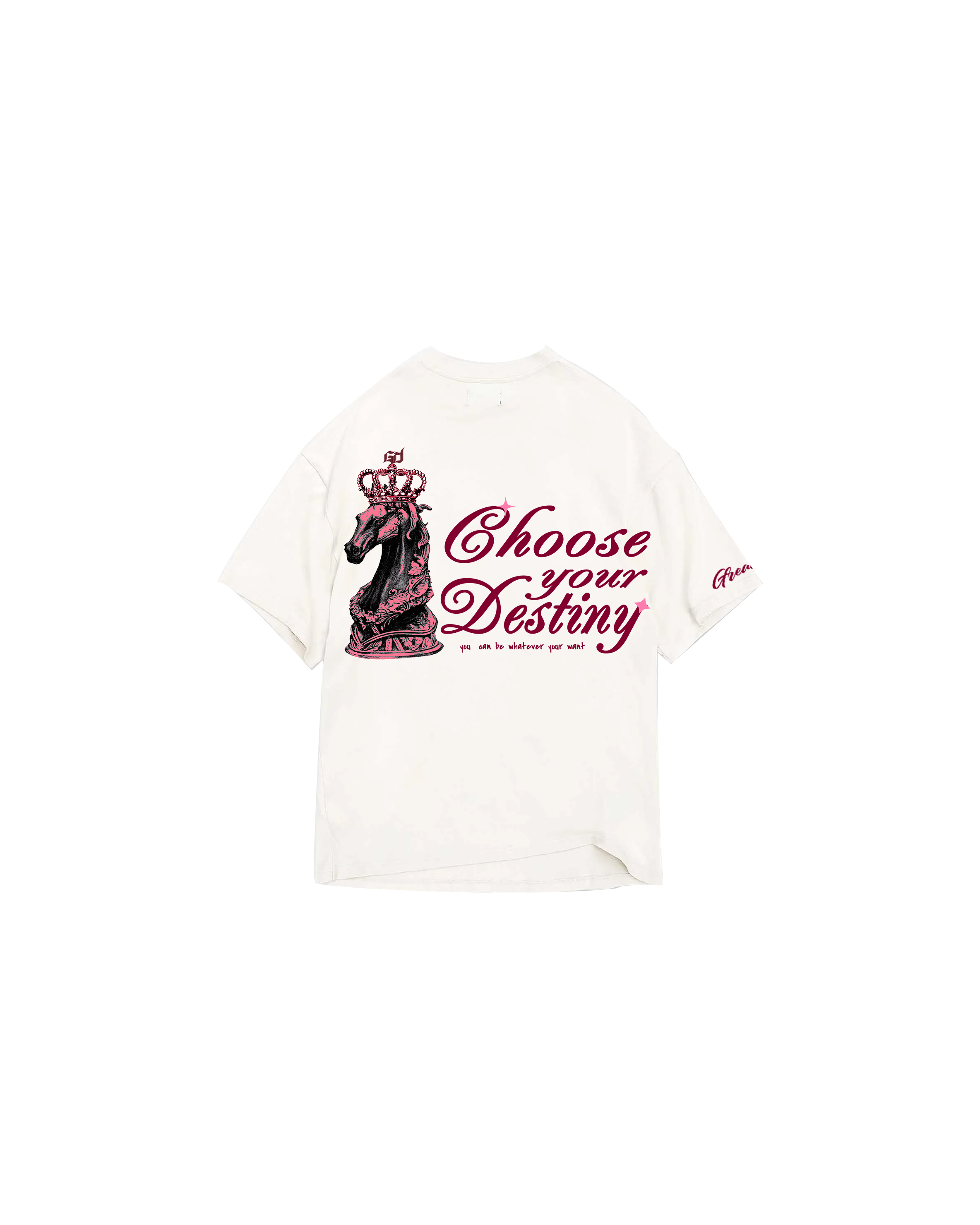 CHOOSE YOUR DESTINY w - 8598273097864