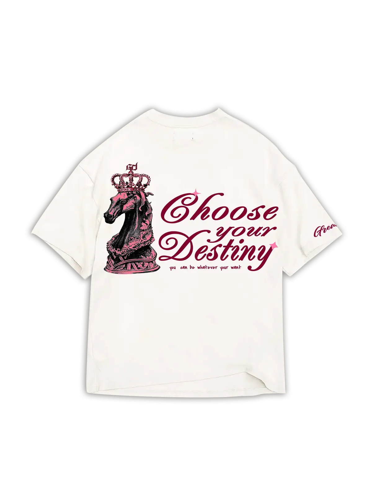 CHOOSE YOUR DESTINY w