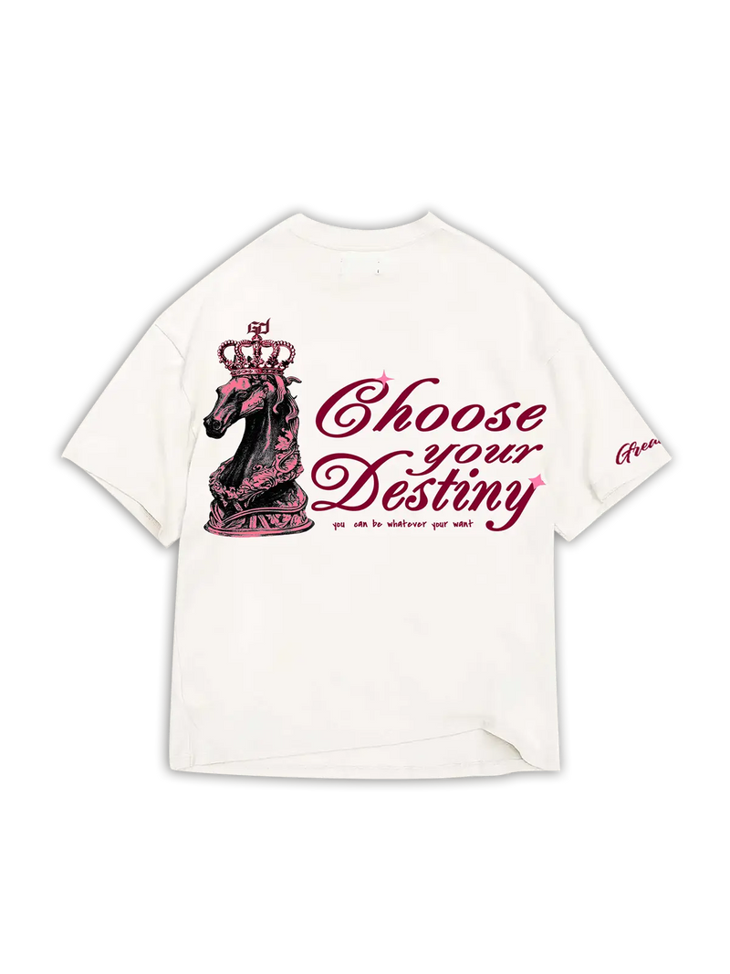 CHOOSE YOUR DESTINY w